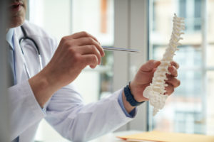 How Do Your Nervous System and Spinal Cord Work?